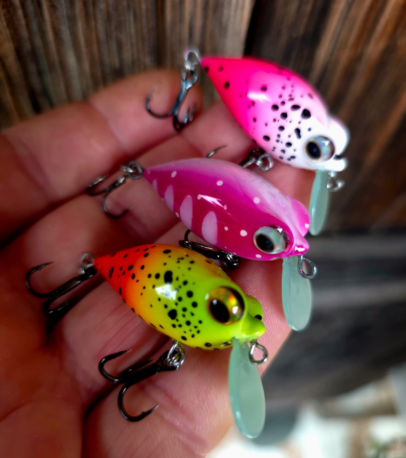 Crankbait — Handmade fishing lures by Avtandil Zakariadze