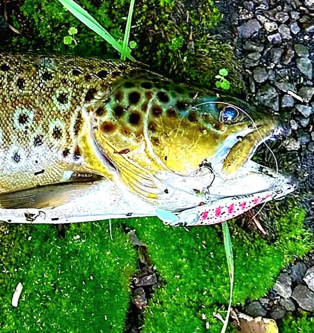 Real catch made with an Avtandil handmade lure, 2