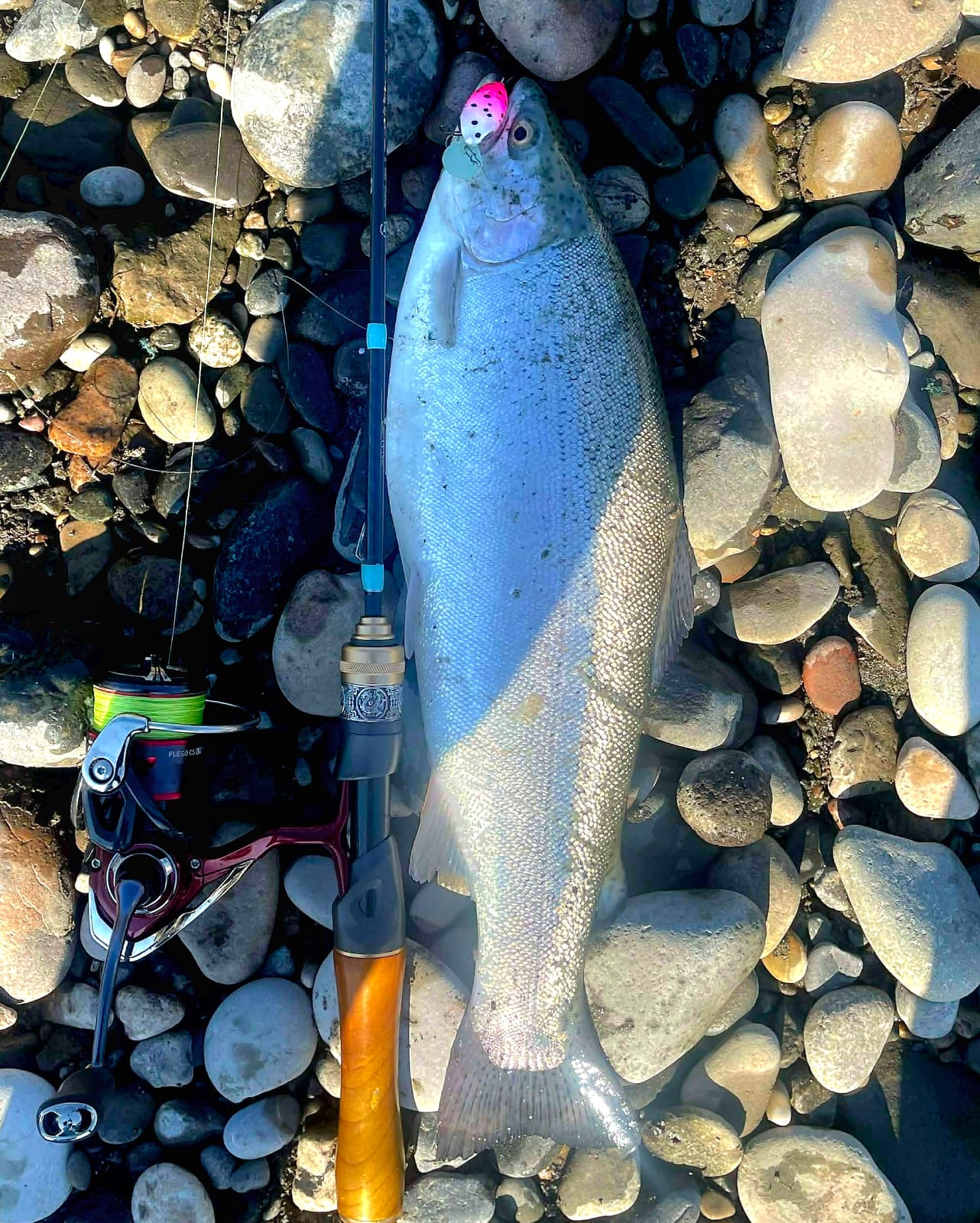 Real catch made with an Avtandil handmade lure, 6