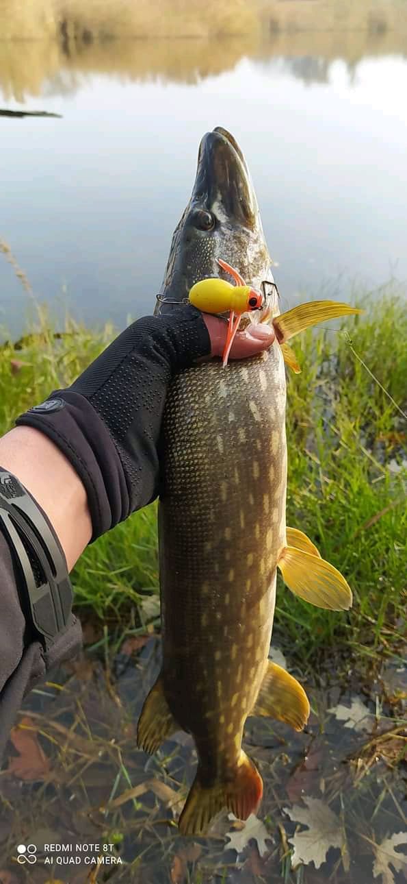 Real catch made with an Avtandil handmade lure, 9